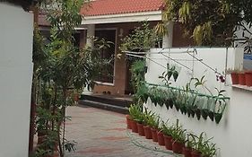 Birds Nest Home Stay